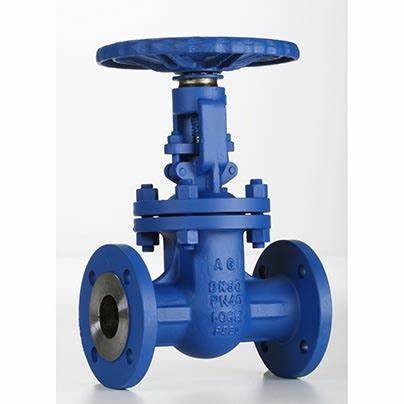 供應意大利Valvosider閥門、過濾器